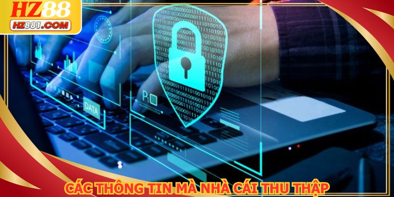 Những loại thông tin mà nhà cái thu thập dựa trên chính sách bảo mật